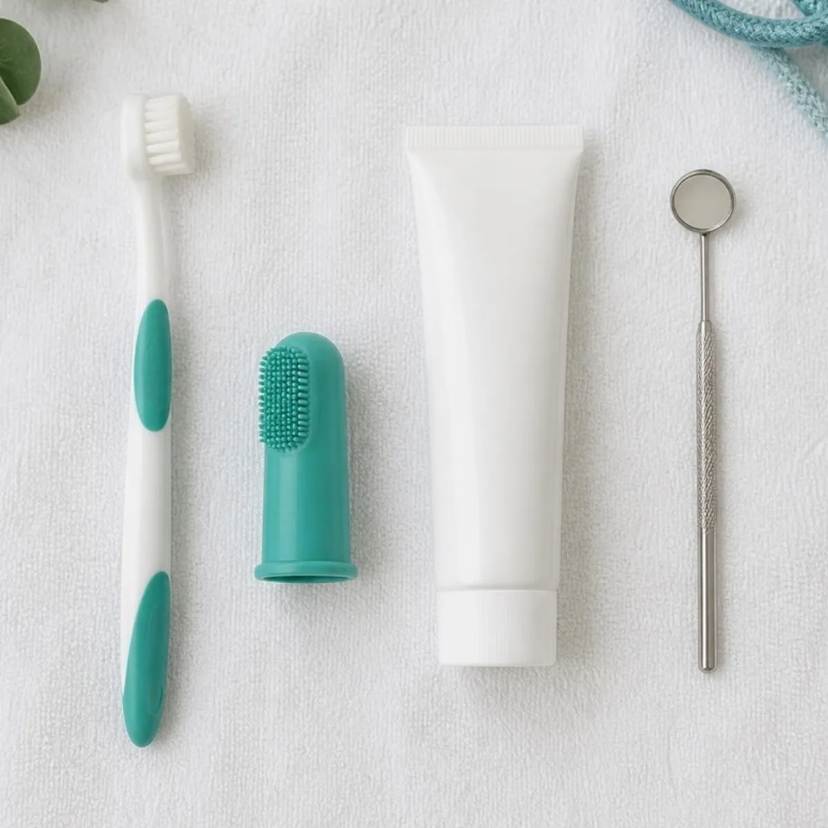 Dog toothbrush and dental hygiene tools
